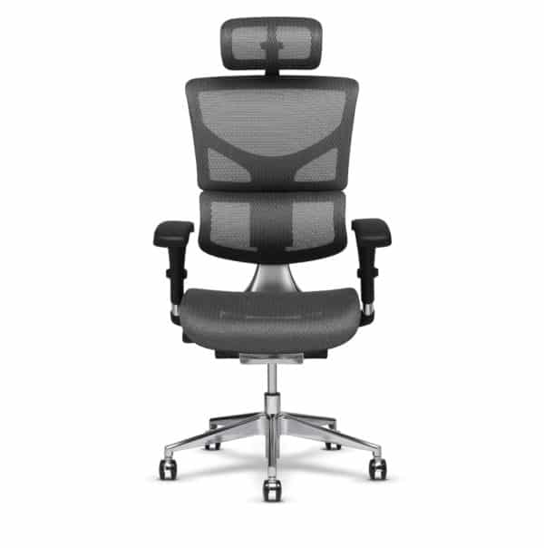 X-Chair bureaustoel X2 Grijs met hoofdsteun