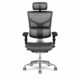 X-Chair bureaustoel X2 Grijs met hoofdsteun