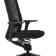 Ergonomic therapeutic office chair Adaptic Evora Black Fabric