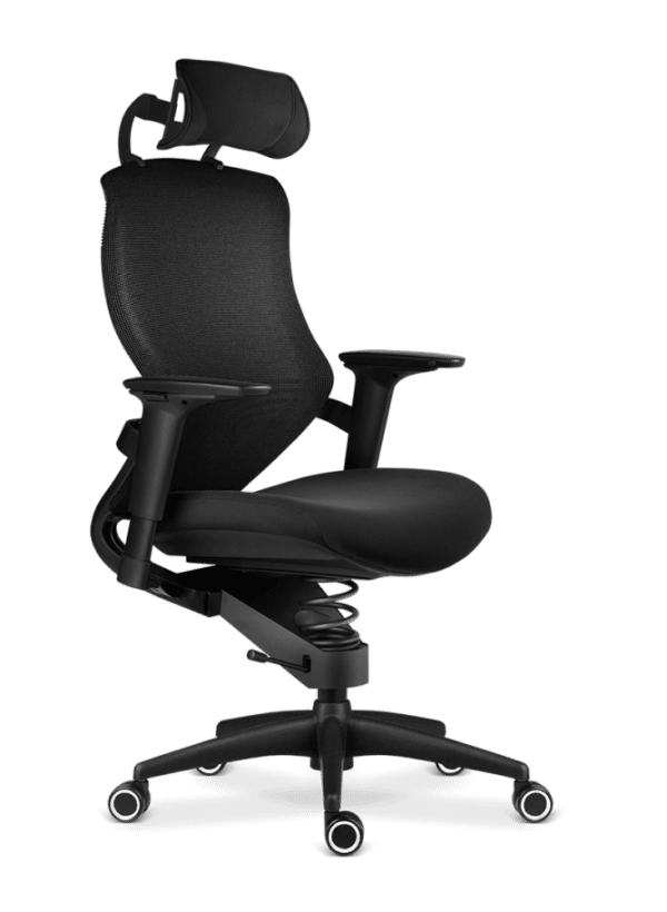 Chaise de bureau thérapeutique ergonomique Adaptic Xtreme Tissu Noir