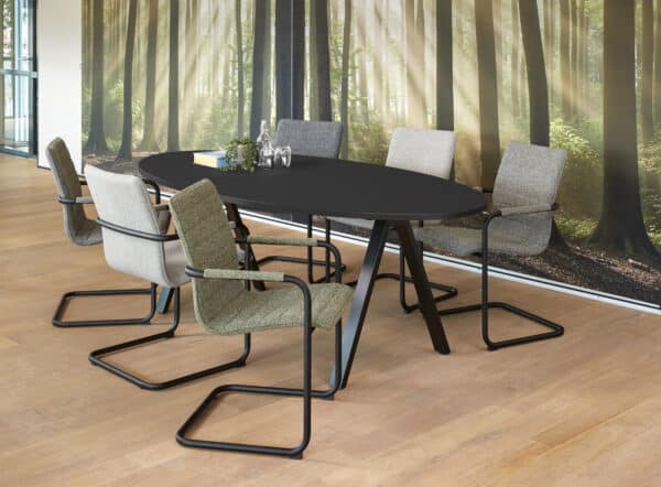 Conference table Victory ellipse 220x110cm